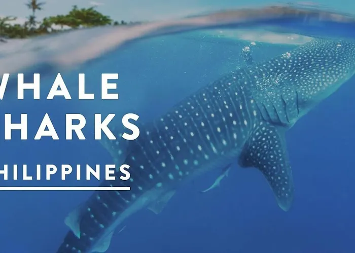 Appartement Saekyung Village One Île de Mactan